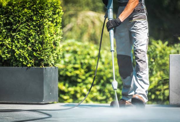 Best Sidewalk and Walkway Cleaning  in Sisseton, SD