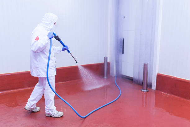 Best Warehouse Cleaning  in Sisseton, SD