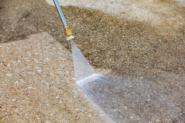 Best Spring Cleaning  in Sisseton, SD